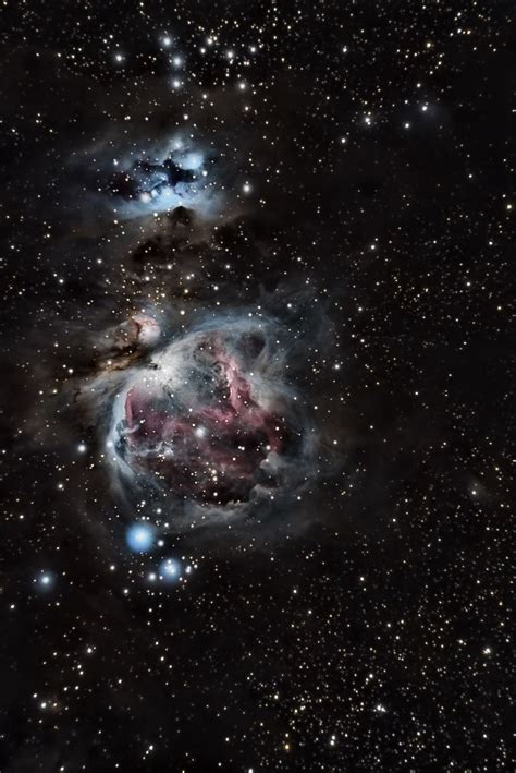 Great Orion Nebula M By Cassiano Carromeu A Diffuse Nebula