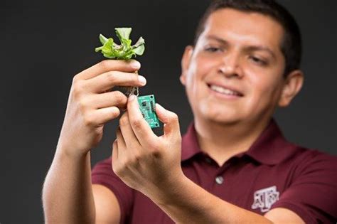 Texas A&M Engineering Major Costilla-Reyes Awarded Mexico’s Highest ...