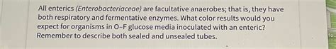 Solved All enterics (Enterobacteriaceae) ﻿are facultative | Chegg.com