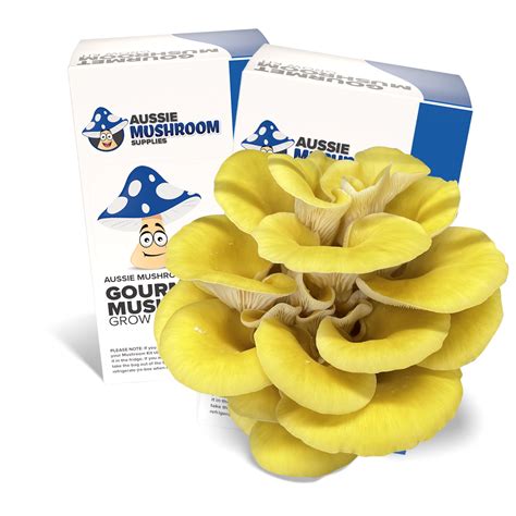 Mushroom Grow Kits Spray And Grow Aussie Mushroom Supplies