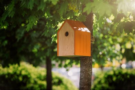 Wooden Bird House, Birdhouse, Bird Houses Outdoors, Bird Feeder ...