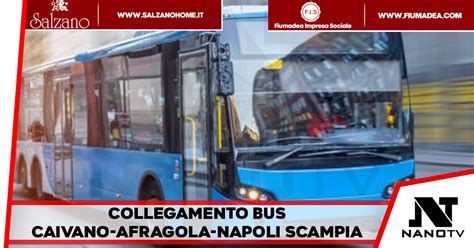 Caivano Collegamento bus Caivano Afragola Napoli Scampia da lunedì