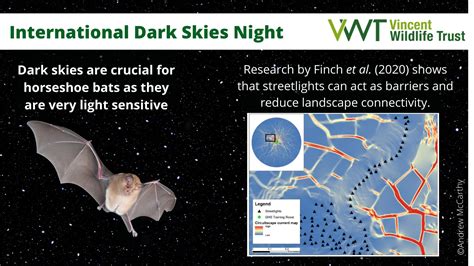 Vincent Wildlife On Twitter Its International Dark Sky Week Light