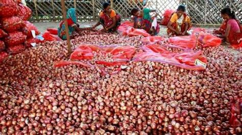 Centre Doubles Export Incentives For Onion Farmers