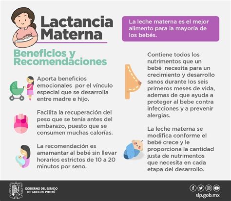 Servicios De Salud Ense An Los Beneficios De La Lactancia Materna