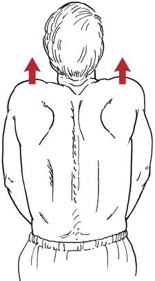 Scapular Elevation