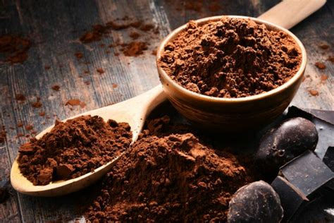 Substitute For Cocoa Powder 12 Excellent Alternatives