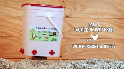 Rentacoop 5 Gallon Chicken Waterer 4 Horizontal Side Mount Poultry