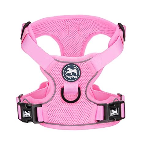 How To Choose The Best Bulldog Harness Recommended By An Expert - Glory Cycles