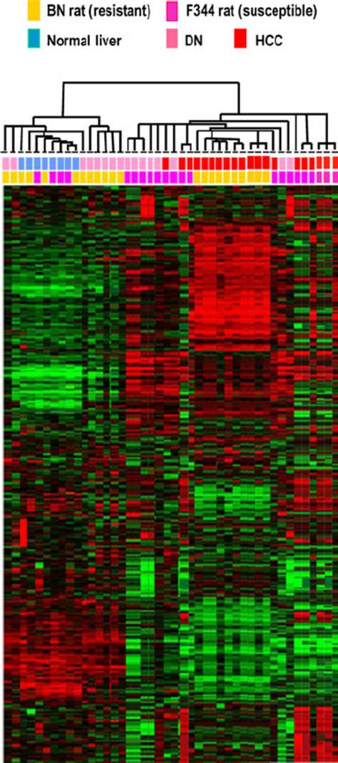 Unsupervised Hierarchical Cluster Analysis Of Gene Expression Patterns