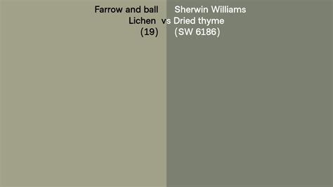 Farrow And Ball Lichen 19 Vs Sherwin Williams Dried Thyme Sw 6186