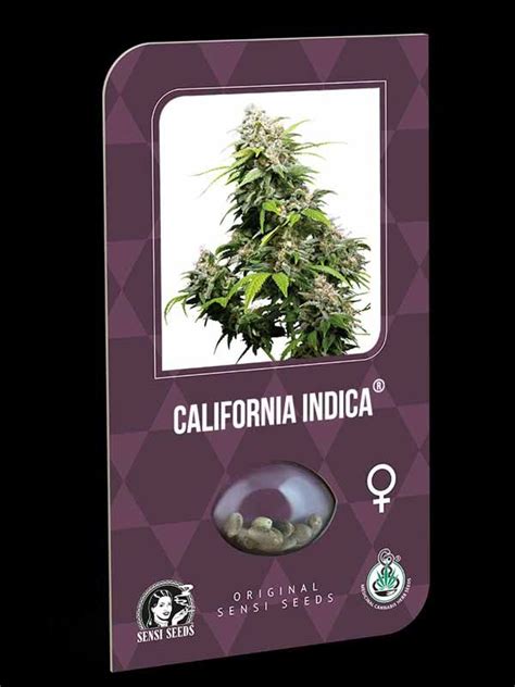 California Indica Sensi Seeds Marihuana Und Hanfsamen