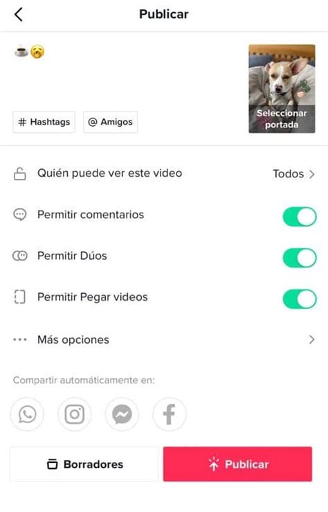 Que Es Tik Tok Como Funciona Y Como Usarlo Youtube