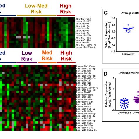 Analysis Of Clusters 1 And 3 Identified From Mirna Profiling Of