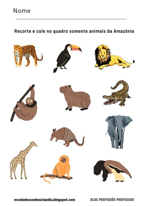 animais da amazonia  imprimir