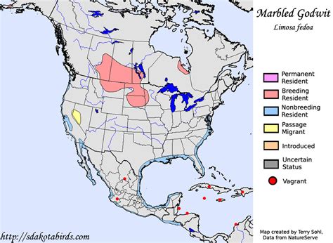 Marbled Godwit - Species Range Map