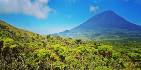 pico archives  azores islands