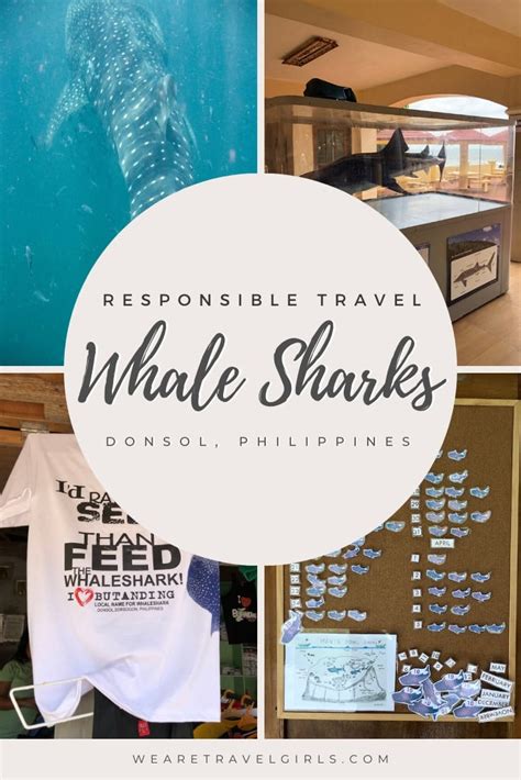 Donsol, Philippines: The Responsible Place To See Whale Sharks | We Are Travel Girls