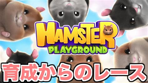 ハムスター育成からのレース出場で賞金稼ぎ【hamster Playground】 Youtube