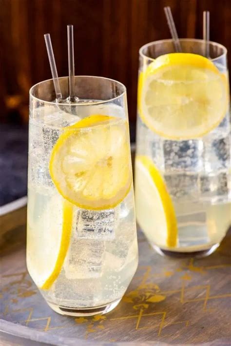 12 Tragos Con Ginebra Recetas Frescura Y Sabor Que Envuelven