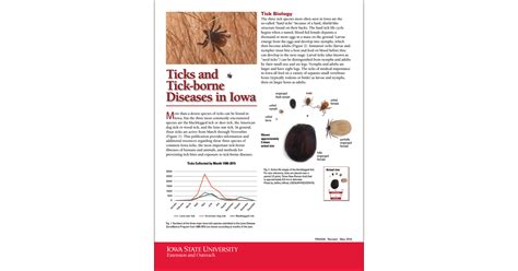 Ticks And Tick Borne Diseases In Iowa