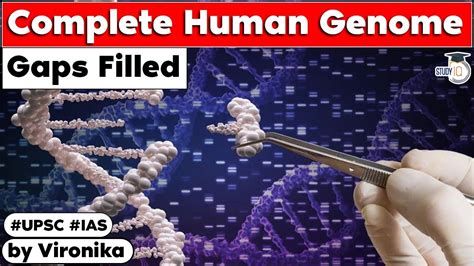 Scientists Finally Decoded The First Complete Gap Free Human Genome