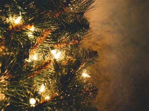 ¿Cuáles son las mejores luces para el árbol de navidad?