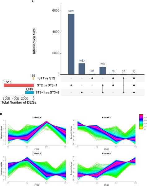 Frontiers Temporal Dynamic Transcriptome Landscape Reveals Regulatory