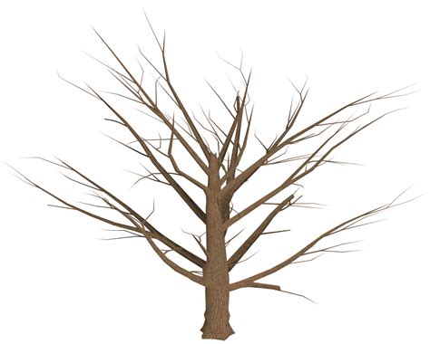 Árbol Muerto con Ramas Vacíos PNG transparente StickPNG