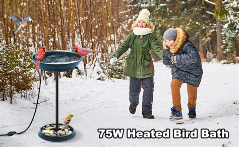 Amazon GESAIL Heated Bird Bath 75W Thermostatically Controlled