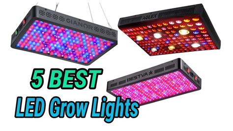 5 Best LED Grow Lights 2020 YouTube