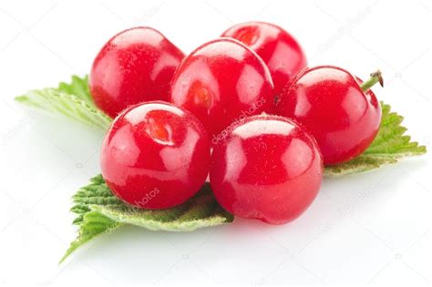 Nanking Or Felted Cherry Ftuits With Leaves Isolated On A White Stock