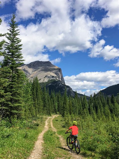 Family Adventures in the Canadian Rockies: Biking the High Rockies