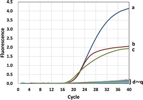 Specificity Of The Triplex Real Time Pcr Assay The Assay Was Used To