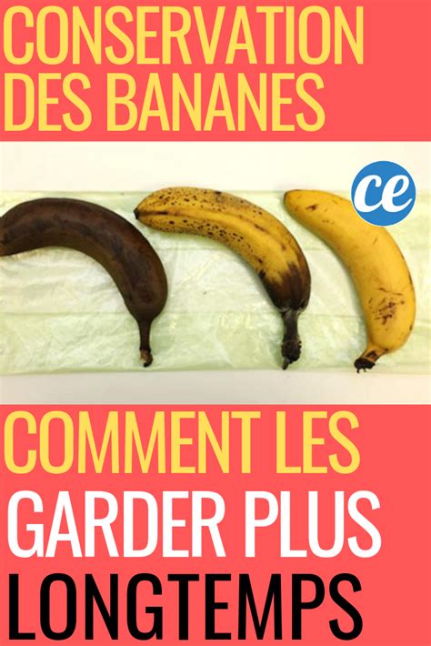 Conservation Des Bananes Comment Les Conserver Plus Longtemps