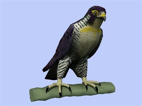 Peregrine Falcon Low Poly 3D Model 3D Model $15 - .3ds .obj .max - Free3D