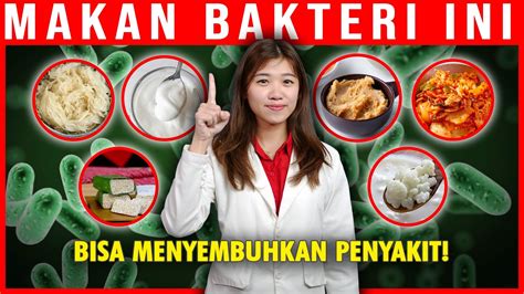 Punya Masalah Di Lambung Dan Usus Bisa Jadi Karena Bakteri Jahat