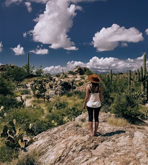 10 Tucson Attractions That You Can’t Miss! - Be My Travel Muse