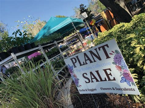 Orange Park Fall Festival Clay Today