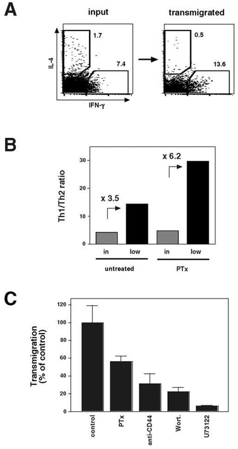 Th1 Cell TEM Is Partially Mediated By Chemokine Signals A Expression