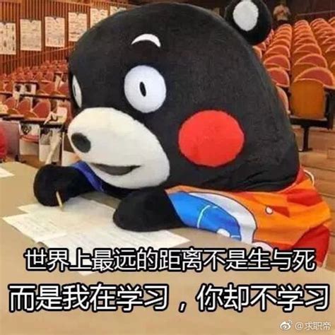 我爱学习，学习使我快乐，硬核表情包分享给你