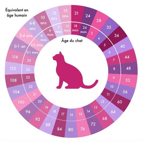 Comment calculer l âge de son chat bis L internet pour les chats