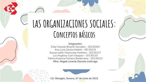 Las Organizaciones Sociales Conceptos Básicos YouTube