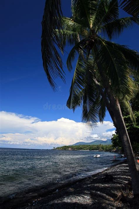 Beach in Tulamben stock image. Image of bali, tourism - 162827223