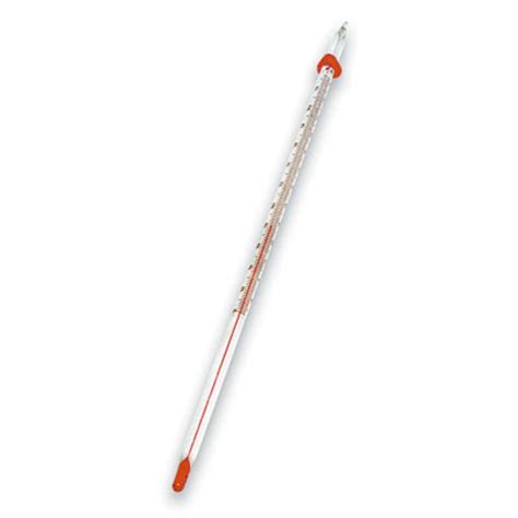 Glass Lab Thermometer 10" °F and °C with Case