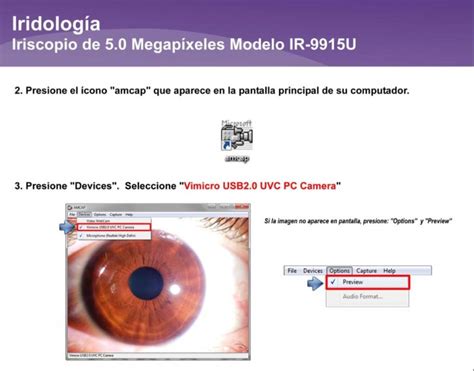 How To Read Iridology Chart The Definitive Guide Maikong Iridology