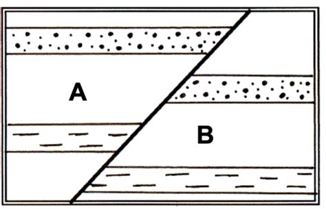 structural geology and earthquakes lab final example questions Flashcards | Quizlet