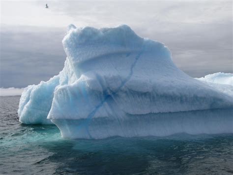 Premium Photo | Floating iceberg greenland