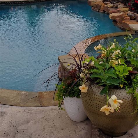 27 Poolside Planter Ideas That Create Value In 2024 Houszed