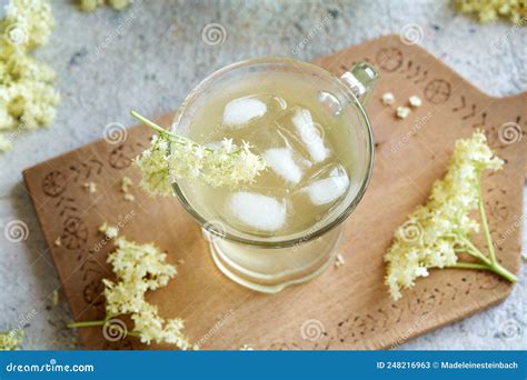 Lemonade Made Of Fresh Elderberry Flower Syrup Stock Image Image Of